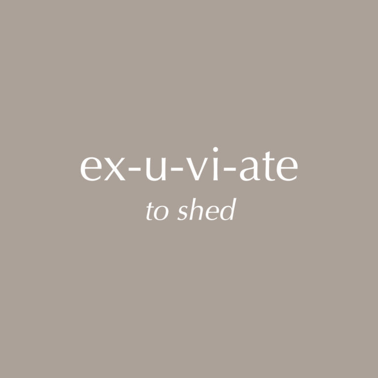 Bilde for sosiale medier Exuviance &laquo;Exuviate&raquo;