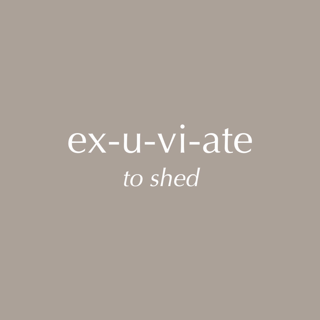 Bilde for sosiale medier Exuviance "Exuviate"
